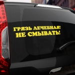 Наклейка грязь лечебная! не смывать!